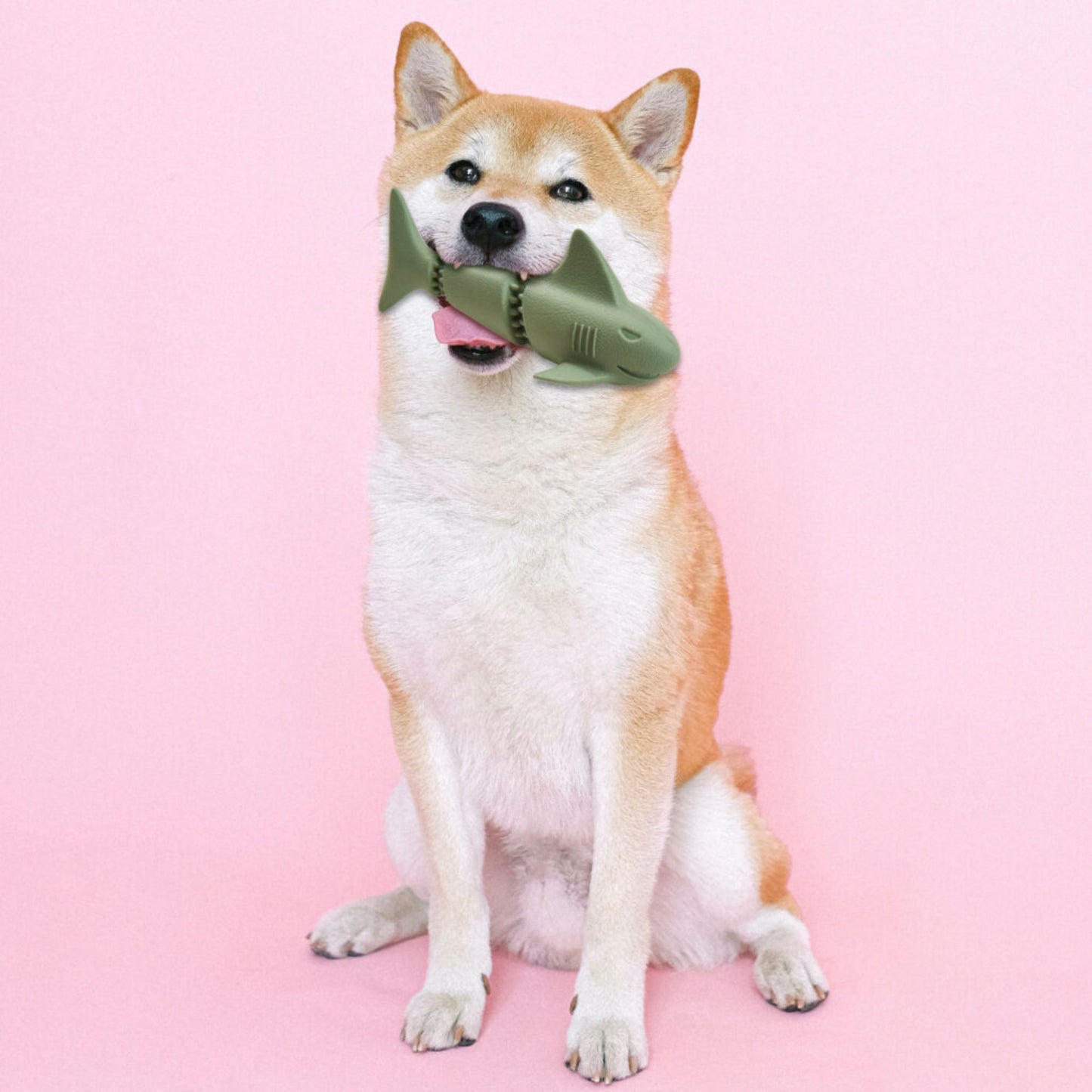 Earth Shark Eco-Friendly Rubber Dog Toy – 7” Assorted Colors