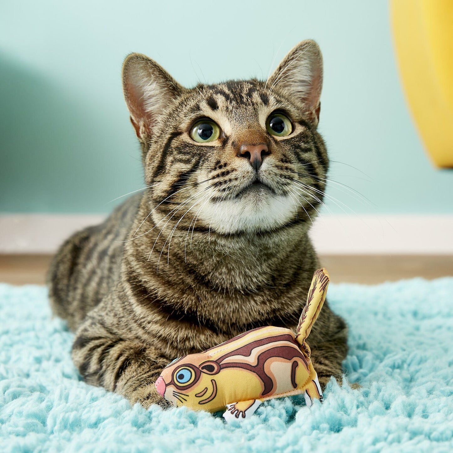 FAT CAT Classic Crackler Catnip Toy – Assorted, One Size