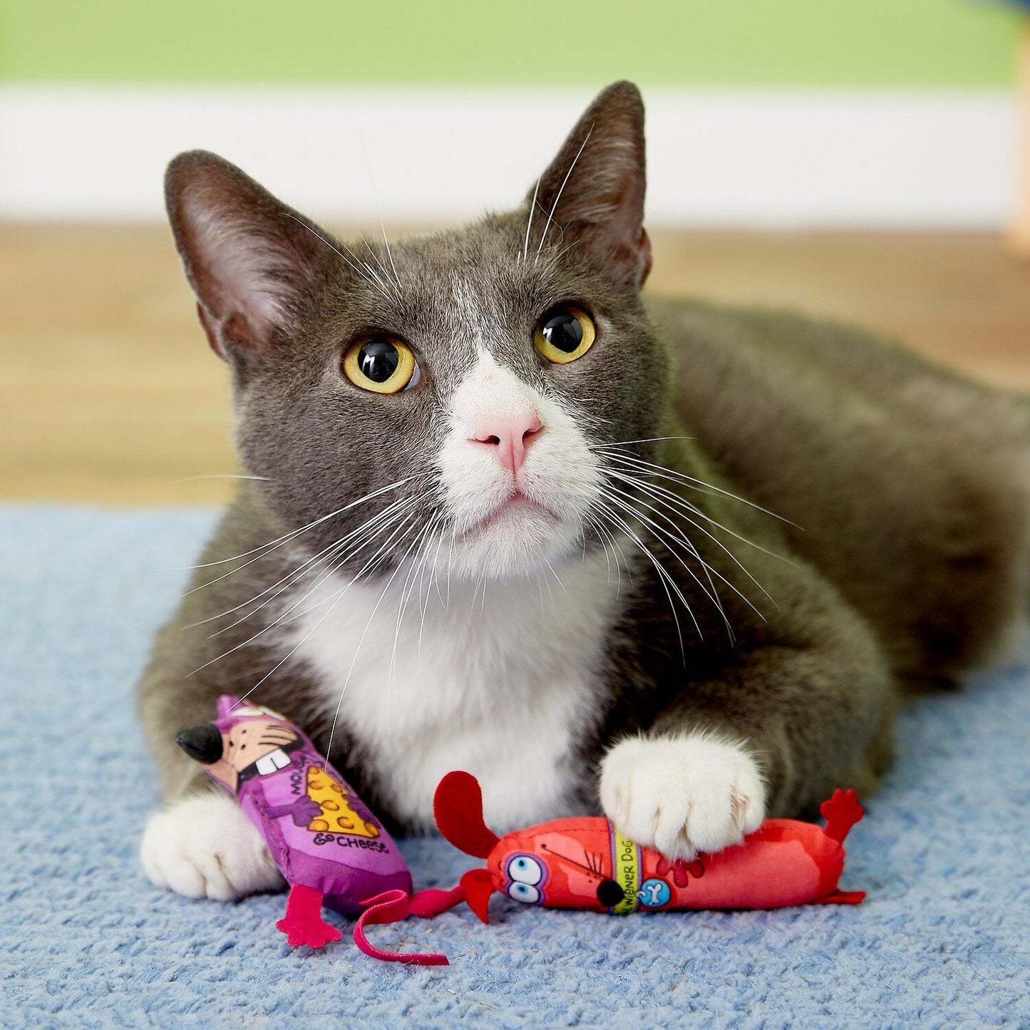 FAT CAT Classic Eeeks! Original Catnip Toy – Assorted, One Size