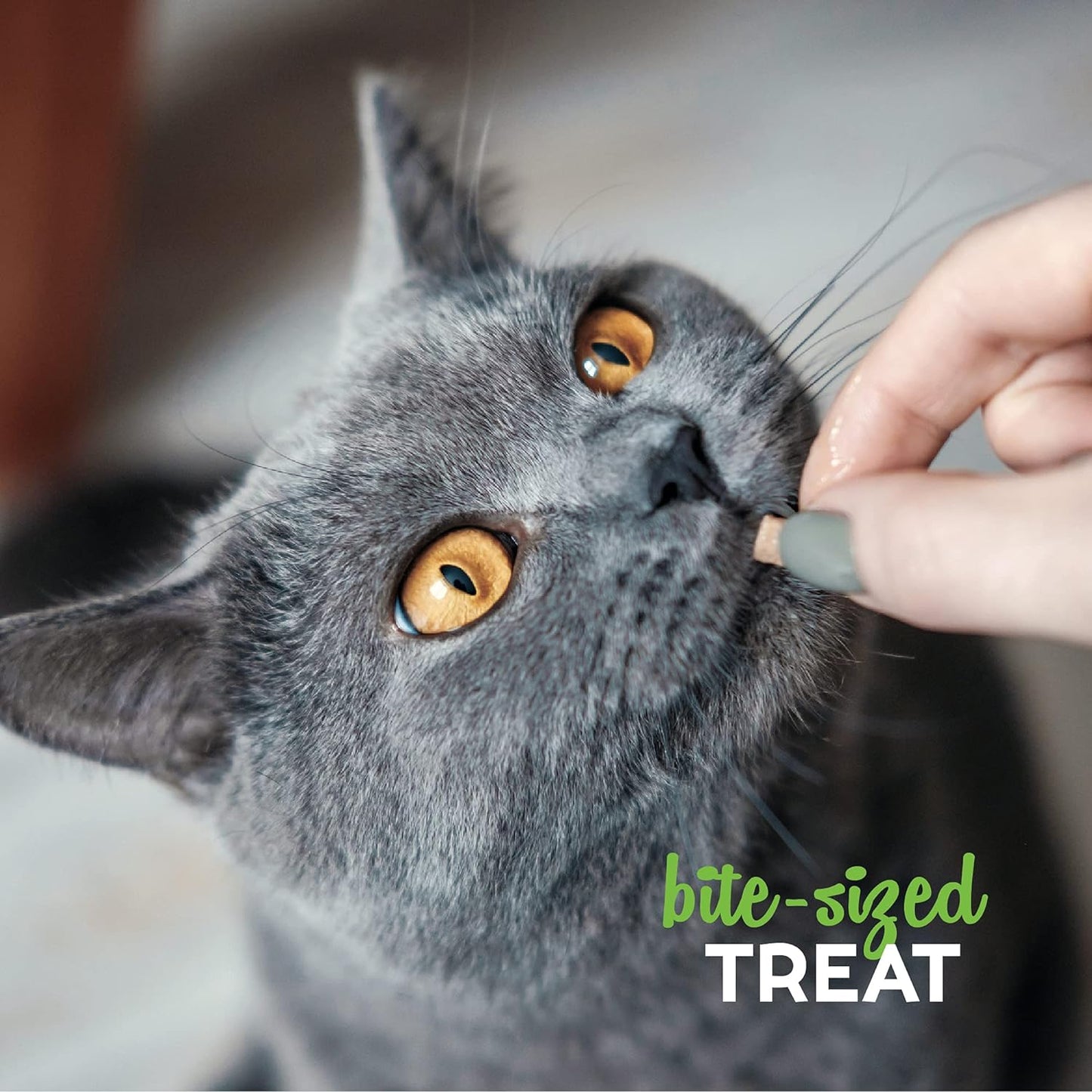 Cloud Star Buddy Biscuits Cat Treats β Grain-Free Tender Chicken Recipe (3oz Bag)