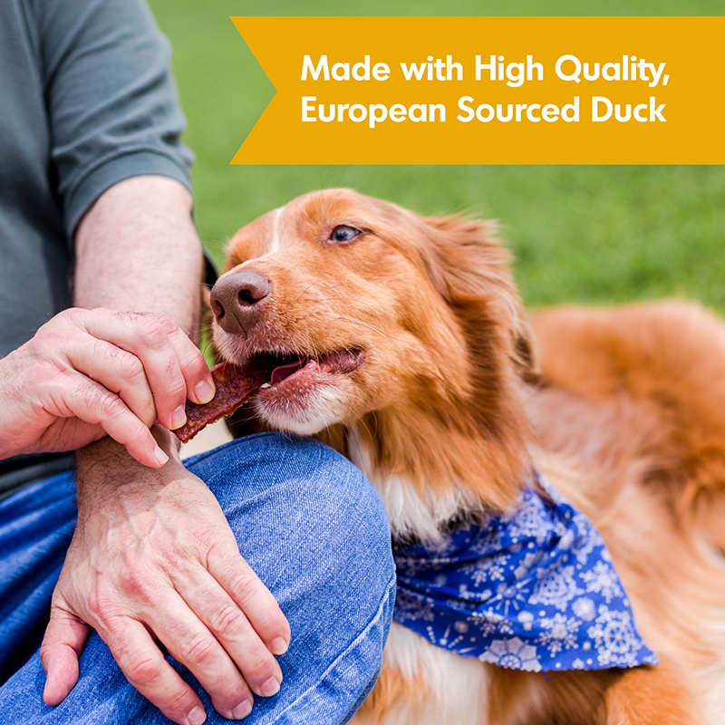 Dogswell Hip & Joint Grain-Free Jerky Dog Treats β Duck (10oz)
