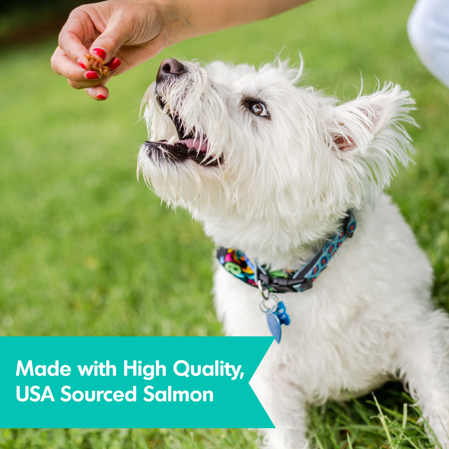 Dogswell Skin & Coat Grain-Free Jerky Dog Treats – Salmon (10oz)