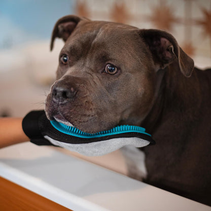 Messy Mutt Dog Grooming Glove Silicone Blue