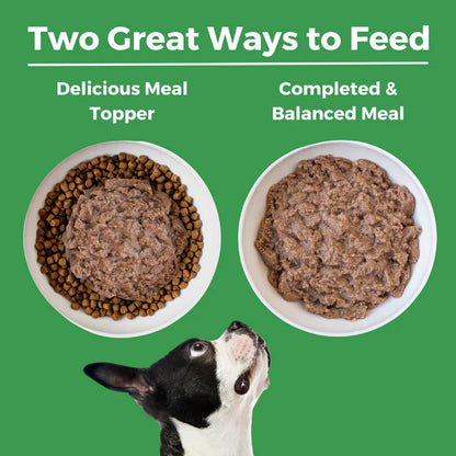 Koha Limited Ingredient Dog Food – Turkey Paté, Grain-Free (13oz, Case of 12)