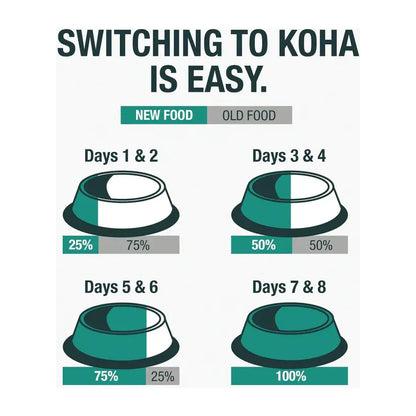 Koha Limited Ingredient Dog Food – Turkey Paté, Grain-Free (13oz, Case of 12)